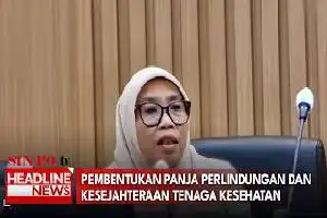 Jamin Hak Tenaga Medis, Komisi IX DPR RI Desak Pembentukan Panja Perlindungan Nakes