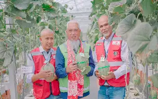Modernisasi Pertanian di Muara Enim: PTBA dan PPA Hadirkan Smart Greenhouse Berbasis IoT
