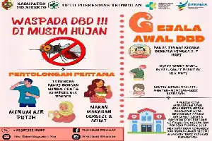 Ancaman DBD di Musim Kemarau: Mengapa Suhu Panas Justru Meningkatkan Risiko Penularan?
