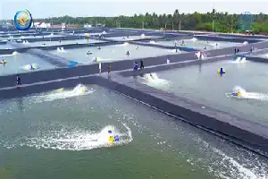 Inovasi Teknologi 'Closed System', Tambak Udang Pemprov Jateng Sukses Berproduksi di Lahan Industri