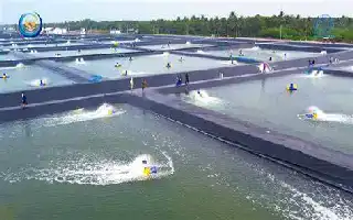 Inovasi Teknologi 'Closed System', Tambak Udang Pemprov Jateng Sukses Berproduksi di Lahan Industri