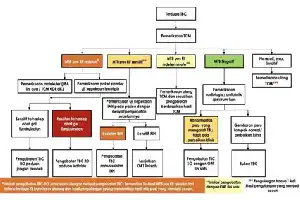 Optimalisasi Dana Desa untuk Penanggulangan HIV/AIDS, Tuberkulosis, dan Malaria di Purworejo