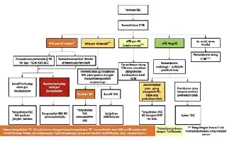 Optimalisasi Dana Desa untuk Penanggulangan HIV/AIDS, Tuberkulosis, dan Malaria di Purworejo
