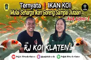 Transformasi Hobi Ikan Koi Menjadi Peluang Bisnis Berdaya Saing