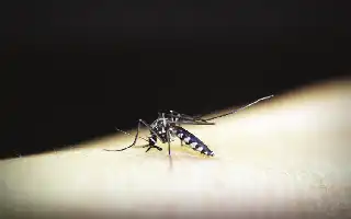 Mahasiswa UNAIR Rancang Malaiscope, Teknologi Cerdas untuk Percepat Deteksi Malaria