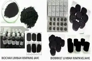 Inovasi BRIN: Mengubah Limbah Penyulingan Jahe Menjadi Bahan Bakar Biobriket