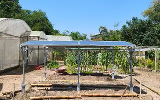 UGM Perkenalkan Teknologi Agrivoltaic untuk Kedaulatan Pangan dan Energi Berbasis Hijau