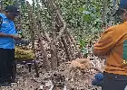 Kolaborasi Empat Perguruan Tinggi Hadirkan Teknologi Air Bersih dan Layanan Kesehatan Ternak di NTT
