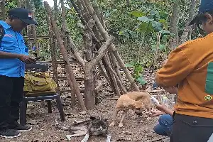 Kolaborasi Empat Perguruan Tinggi Hadirkan Teknologi Air Bersih dan Layanan Kesehatan Ternak di NTT