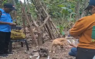 Kolaborasi Empat Perguruan Tinggi Hadirkan Teknologi Air Bersih dan Layanan Kesehatan Ternak di NTT