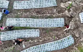 Inovasi Irigasi Tetes Berbasis Sensor Garapan Mahasiswa KKN UGM Bantu Petani Samosir Atasi Krisis Air