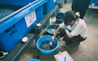 Mahasiswa UNAIR Pelajari Teknologi Hatchery Modern dan Genetika Kerapu Unggul di Sabah