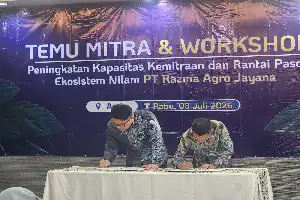 Dorong Hilirisasi Minyak Atsiri, Universitas Samudra Gandeng PT Razma Agro Jayana Kembangkan Nilam