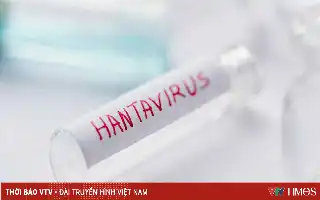 WHO Nyatakan Wabah Hantavirus di MV Hondius Terkendali, Vietnam Perkuat Kewaspadaan