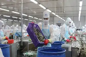 Lonjakan Biaya Logistik Ancam Daya Saing Ekspor Produk Pertanian Vietnam