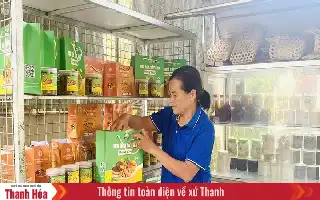 Transformasi Teknologi: Solusi Koperasi Pertanian Atasi Masalah 'Panen Melimpah Harga Anjlok'