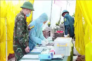 Kampanye 500 Hari: Terobosan Teknologi DNA untuk Memulangkan Para Pahlawan yang Gugur