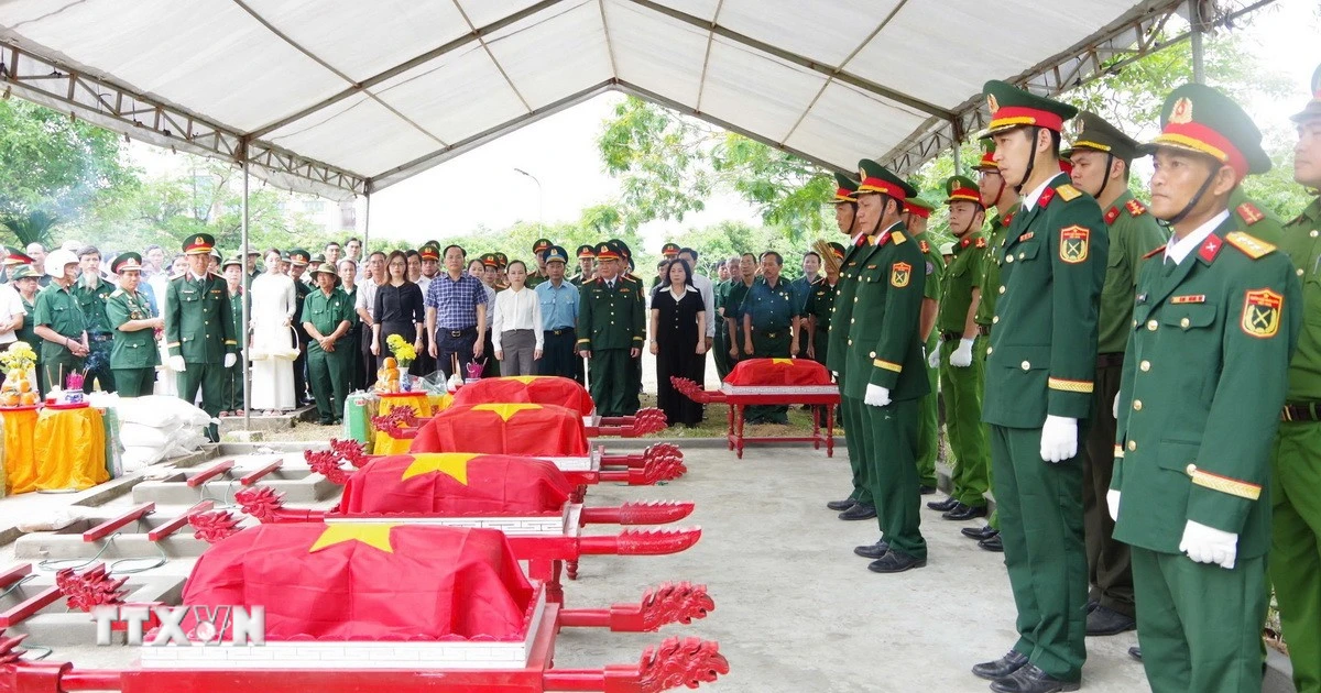 Terobosan Teknologi NGS-SNP: Harapan Baru Identifikasi Ribuan Prajurit Gugur Vietnam