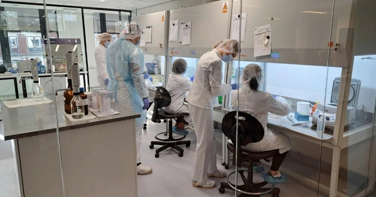 Terobosan Genetika: Teknologi NGS Beri Harapan Baru Identifikasi Korban Perang di Vietnam