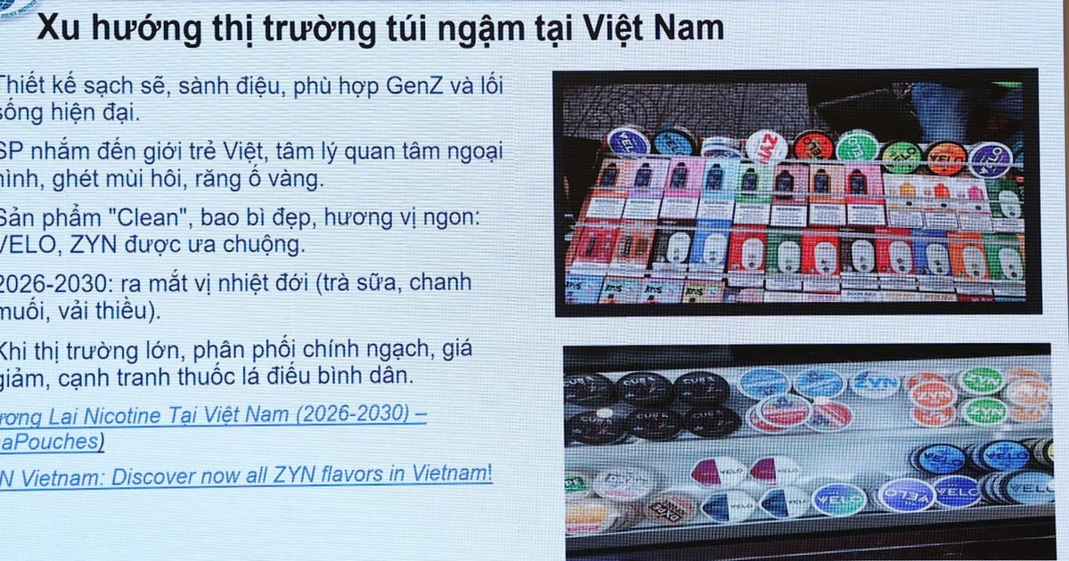 Kemenkes Vietnam Usulkan Larangan Total Produk Nikotin Baru demi Lindungi Generasi Muda
