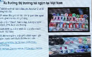 Kemenkes Vietnam Usulkan Larangan Total Produk Nikotin Baru demi Lindungi Generasi Muda