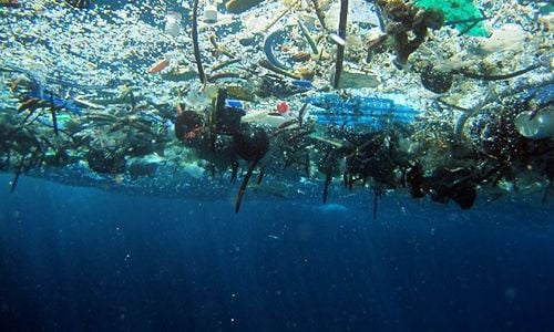 Inovasi 'Gelembung Ganda': Terobosan Baru Australia dalam Menekan Polusi Mikroplastik di Air Limbah