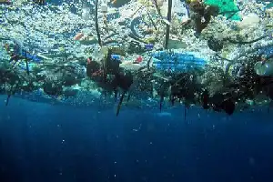 Inovasi 'Gelembung Ganda': Terobosan Baru Australia dalam Menekan Polusi Mikroplastik di Air Limbah