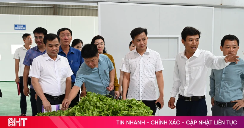 Transformasi Nilai Tambah Pertanian Melalui Inovasi Teknologi Pengolahan