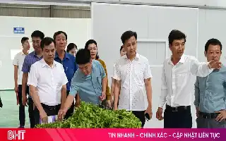 Transformasi Nilai Tambah Pertanian Melalui Inovasi Teknologi Pengolahan