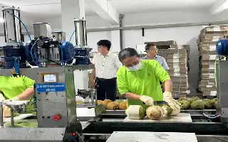Dorong Pertumbuhan Ekonomi, Pemerintah Provinsi Optimalkan Layanan dan Pangkas Birokrasi Bisnis