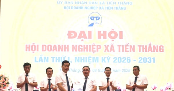 Asosiasi Pengusaha Komune Tien Thang Resmi Terbentuk, Perkuat Sinergi Sektor Swasta dan Pemerintah
