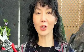 Transformasi Hidup Maggie Cheung: Dari Bintang Layar Lebar Menjadi Petani Urban yang Menginspirasi