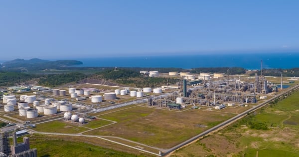 Perkuat Sinergi Ekonomi, Quang Ngai Bidik Investasi Strategis dari Singapura