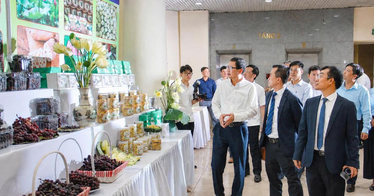 Transformasi Ekonomi Pedesaan: Peran Strategis Iptek dalam Pemberdayaan Masyarakat Daerah