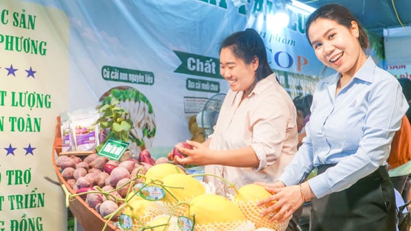 Dorong Ekonomi Lokal, Pameran Dagang di Vinh Long Hadirkan Ratusan Produk Unggulan