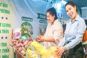 Dorong Ekonomi Lokal, Pameran Dagang di Vinh Long Hadirkan Ratusan Produk Unggulan