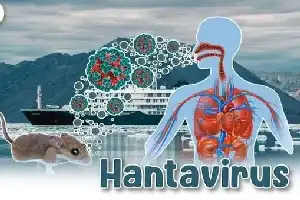 WHO Nyatakan Wabah Hantavirus di Kapal Pesiar MV Hondius Berakhir, Vietnam Perketat Pengawasan