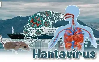 WHO Nyatakan Wabah Hantavirus di Kapal Pesiar MV Hondius Berakhir, Vietnam Perketat Pengawasan