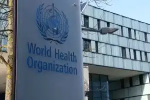 WHO Nyatakan Wabah Hantavirus di Kapal MV Hondius Berakhir, Tidak Ada Kasus di Vietnam
