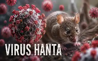 Kemenkes Imbau Kewaspadaan Dini Terhadap Virus Hanta Pasca Kasus di Kapal Pesiar