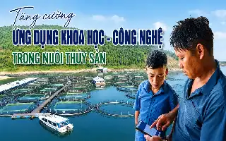 Modernisasi Akuakultur: Sentuhan Teknologi Dongkrak Produktivitas Perikanan Budidaya di Lao Cai