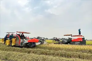 Strategi Moneter Vietnam: Kebijakan Kredit Fleksibel Jadi Motor Penggerak Pertumbuhan Ekonomi