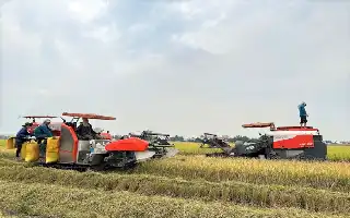 Strategi Moneter Vietnam: Kebijakan Kredit Fleksibel Jadi Motor Penggerak Pertumbuhan Ekonomi
