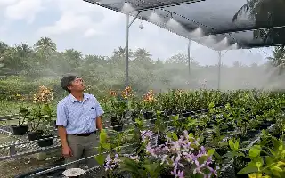 Modernisasi Pertanian di Cu Lao Dung: Sukses Budidaya Anggrek dengan Sistem Irigasi Cerdas