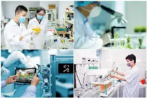 Vietnam Godok Skema Gaji Fantastis Demi Gaet Talenta Teknologi Dunia