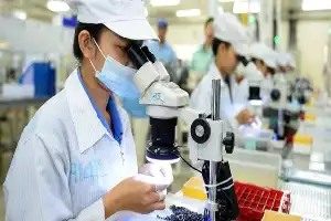 Dorong Inovasi, Pemerintah Siapkan Subsidi Bunga Pinjaman 50% bagi Pelaku Usaha