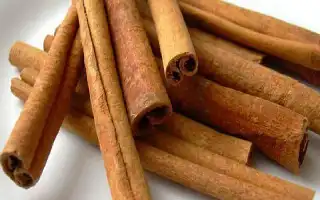 Potensi Khasiat Rempah Alami untuk Gula Darah dan Fungsi Kognitif