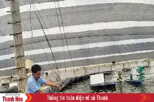 Modernisasi Sektor Perikanan Thanh Hoa melalui Integrasi Teknologi Tinggi