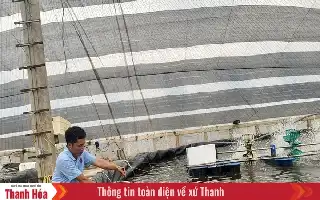 Modernisasi Sektor Perikanan Thanh Hoa melalui Integrasi Teknologi Tinggi