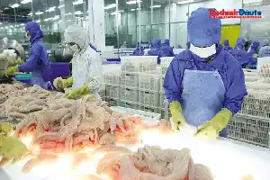 Sektor Ekspor Vietnam Terganjal Birokrasi, Pelaku Bisnis Desak Reformasi Regulasi yang Lebih Gesit